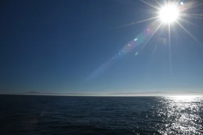 DSC_6672 (Large).JPG